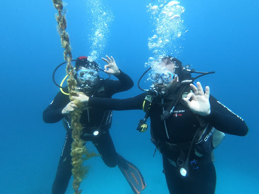 All dive sas di Marco Colonna & C Centro Immersioni -