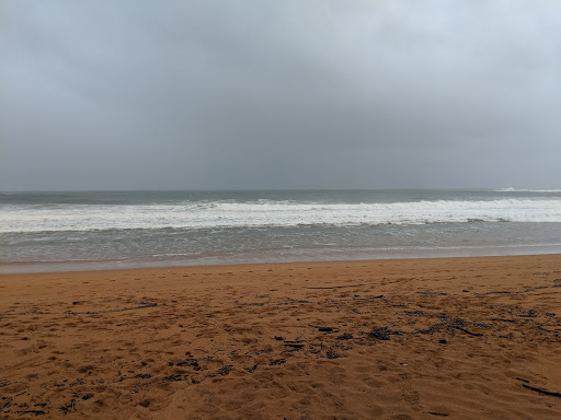 Newport Surf Life Saving Club - Thumbnail