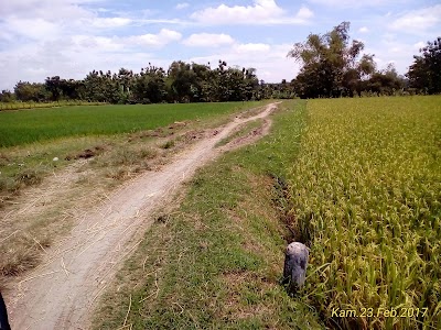 Photos of Pasar Doplang