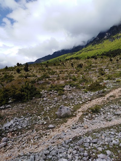 Kapinovë Berat