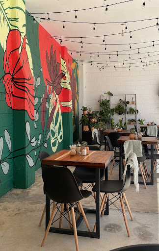 Amapola Coffee and Plants - Thumbnail