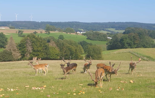 Uli’s Jägerklause – Sonnenhof