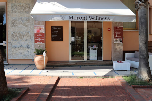 Wellness Moroni - Visual