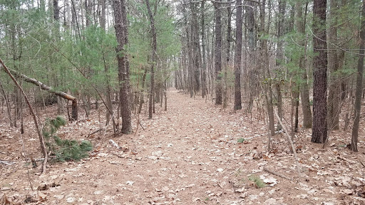 Hilliards Creek Wildlife Refuge - Thumbnail