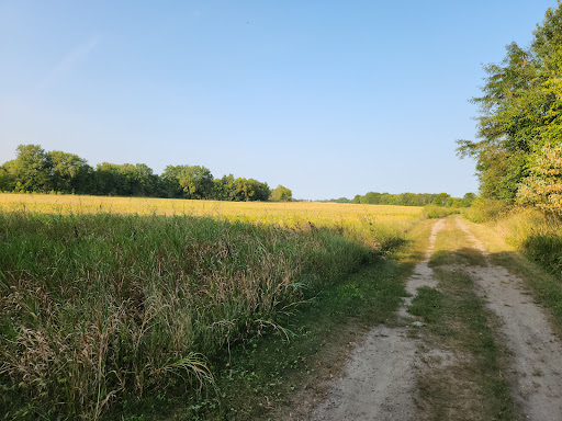 Pechman Creek Delta