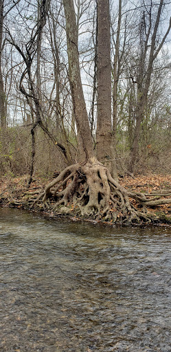 Bridge to Bridge Trail - Thumbnail