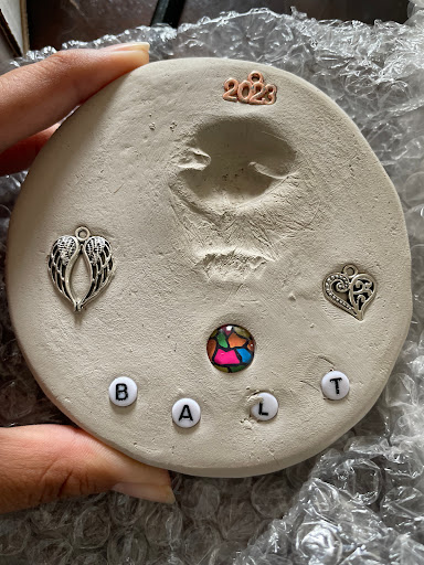 Animal Cremation Society Of Chicagoland