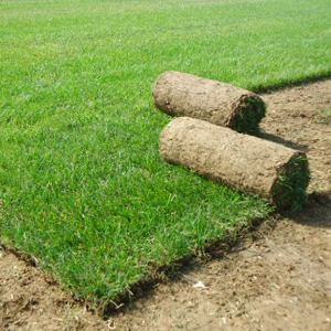 Photo de Orparc à Éclaron (52290)