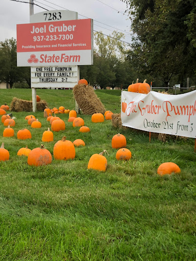 Joel Gruber - State Farm Insurance Agent - Thumbnail