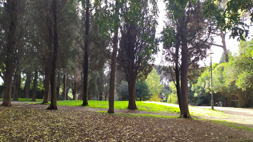 Parco degli Scipioni - Thumbnail