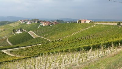 Azienda Vitivinicola Ca Trifolera