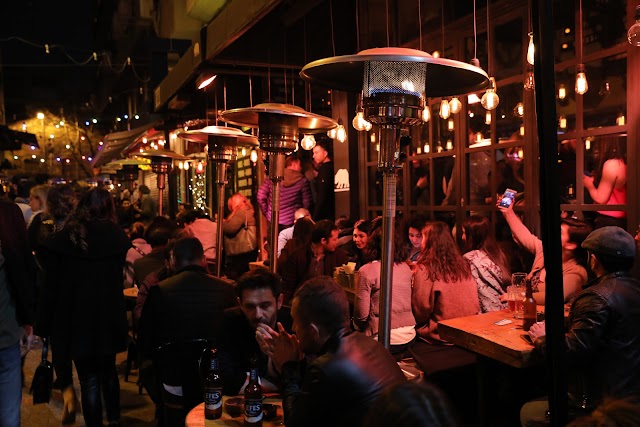 Ayı, Karaköy