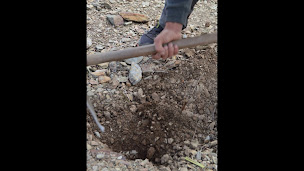 Photo n°2 de Domaine Tambour à Banyuls-sur-Mer (Caviste)
