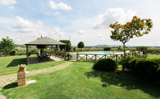 Agriturismo La Collina Degli Olivi - Tuscany Farmhouse Near Sea - Thumbnail