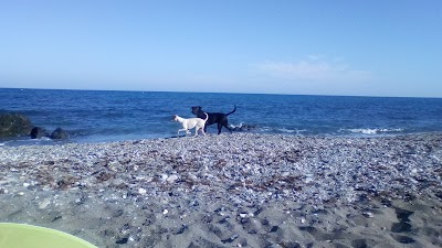 Photos of Playa Para Perros