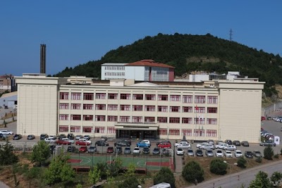 university