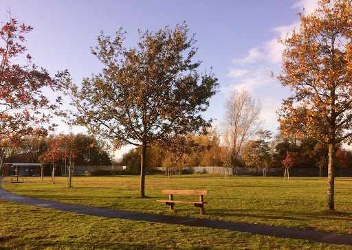 Ainsdale REC