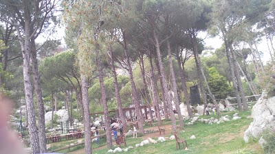 Photos of Sharewood Camp