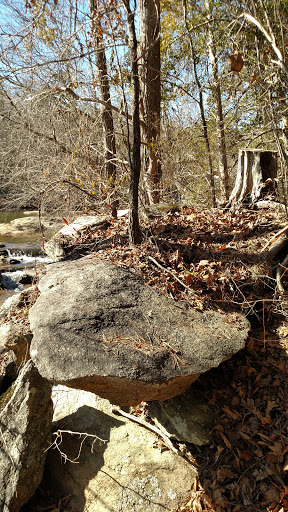 Tyger-10 Nature Park - Thumbnail