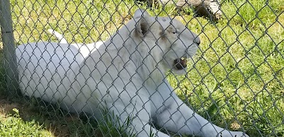 Tiger Preservation Center