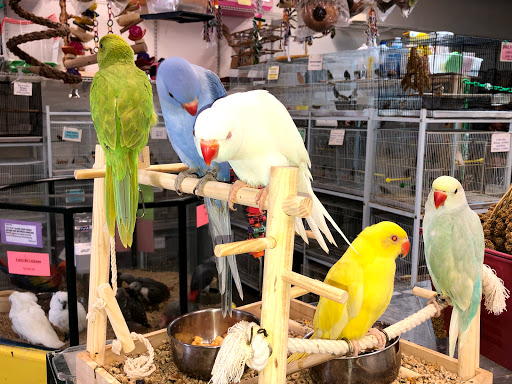 Brenda's Birds Gallery - United States