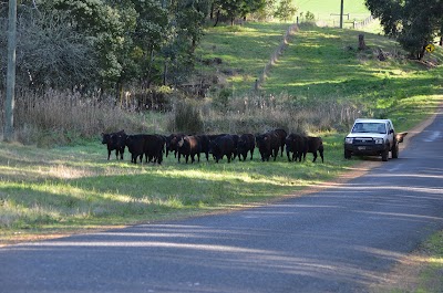 Photos of Country Gate Cottages