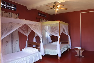 Photos of Hotel Nautile