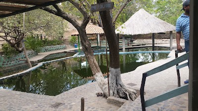 Photos of Aguas Termales
