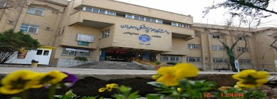university