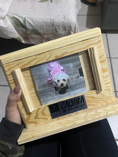 Almascotas, Servicio de cremación para mascotas
