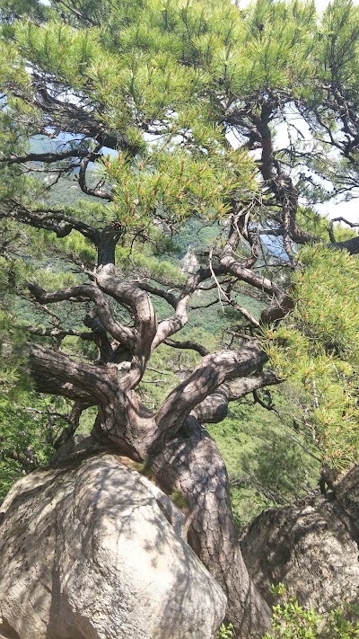 Photos of 낙영산