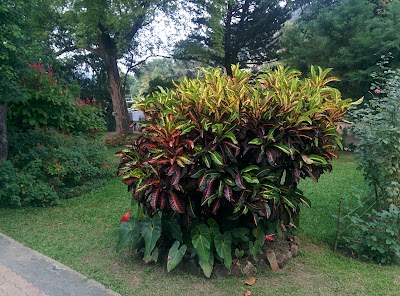 Photos of Wales Park / Royal Palace Park