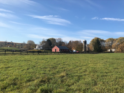 Horse Boarding at Integrative Animal Care