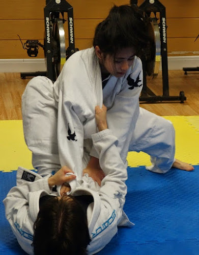 Artemis BJJ (Brazilian Jiu Jitsu) | Central Bristol - School