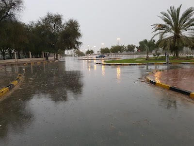 Photos of Helio Park