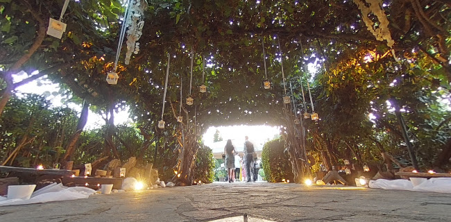 Κτήμα Kiwi Garden
