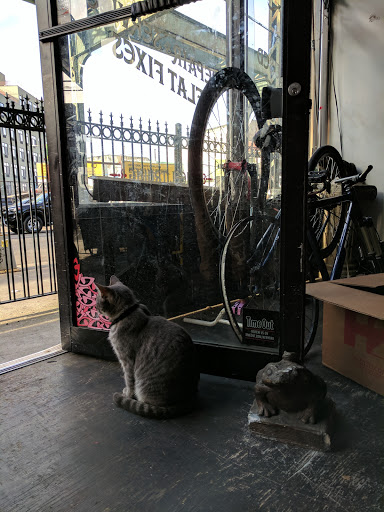 Harvest Cyclery - Thumbnail