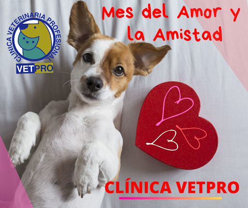 CLÍNICA VETPRO