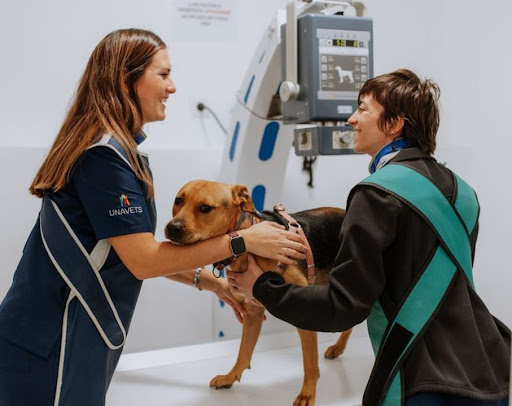 Hospital Veterinario Valvet