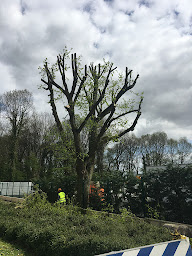 Photo n°16 de Forestière Fitimi bois à Lésigny (Magasin de bois de chauffage)