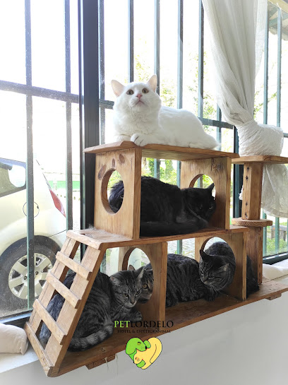 PETLORDELO - Hotel & Estética Animal