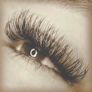 Paula Bayliss-Beauty & Training Studio