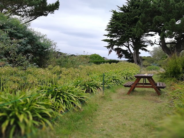 Le Paradis Rose