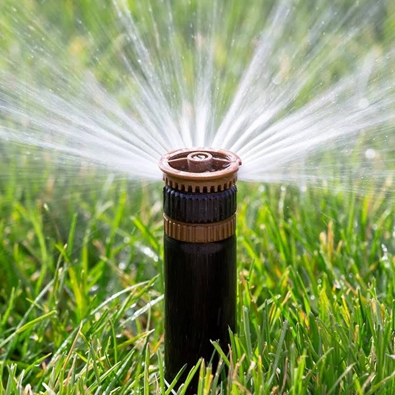 Brandt Grounds Management Full Service Lawn Care In Spokane Wa