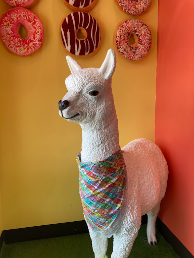 Sugar Llamas - Thumbnail