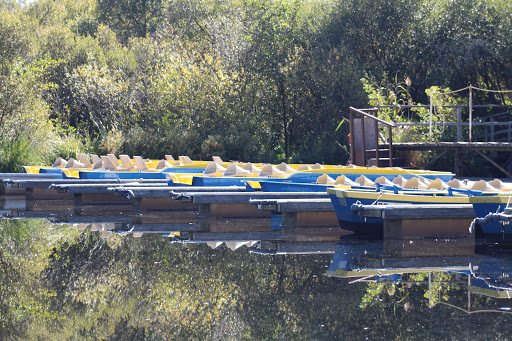 Photo de Le Musée du Lac
