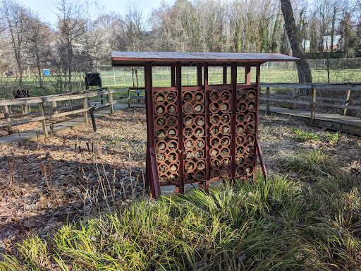 Washington Park Bog Garden