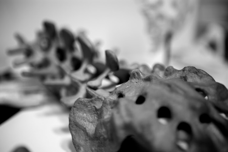 Orthopraxis Ludwigsburg - Praxis für Orthopädie und Unfallchirurgie