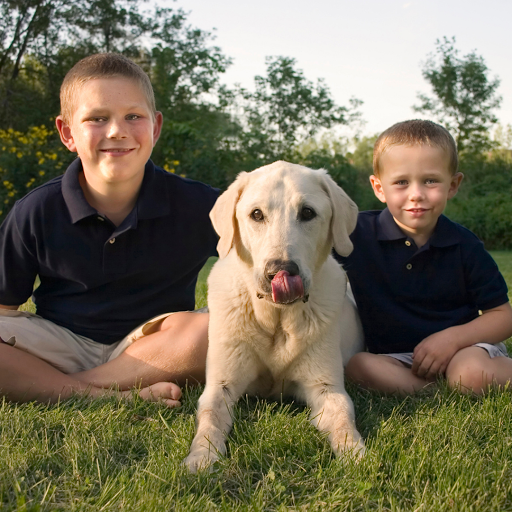 Pets R.I.P | Pet Cremations Toowoomba - Thumbnail