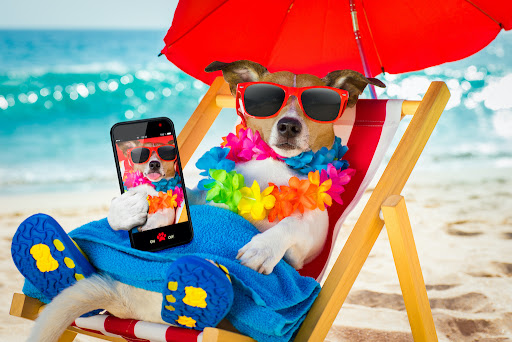 BAU BEACH CAPITELLO - Thumbnail
